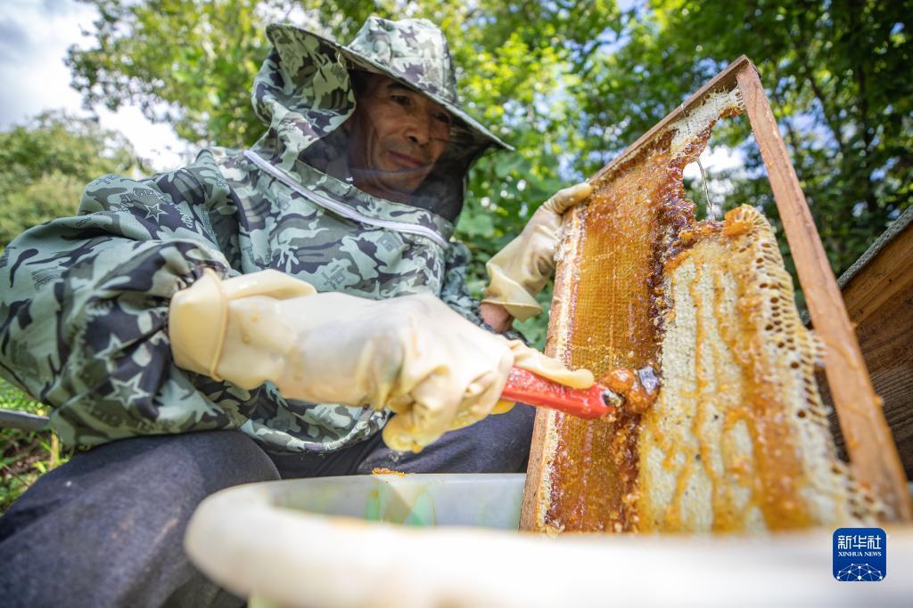 澳门庄闲规则